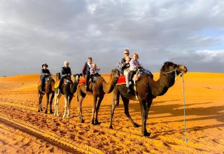 Sahara Garden Camp - 3