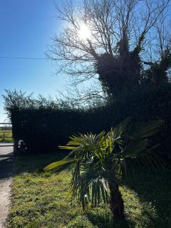 Garden Country House - 2