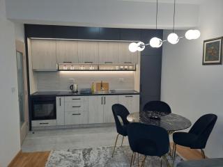 Apartman Vlado Podgorica - Podgorica - 4