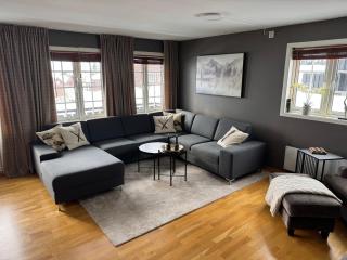 Apartment by the Røldal terrace! - Håra - 7