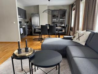 Apartment by the Røldal terrace! - Håra - 9