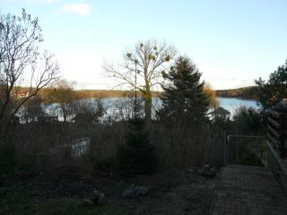 Ferienwohnung mit Seeblick - Lychen - 6