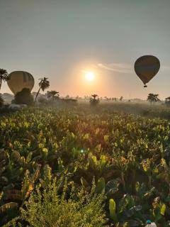 Villa Quiet Place - Louxor - 6