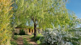 Ferienhaus Chalet Natur und Erholung an der Dordogne - Payrac - 5