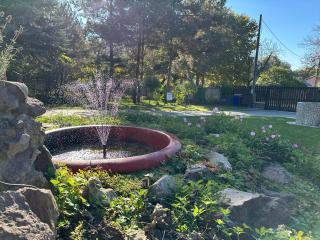 Bor, Villa, Sóstó - 6