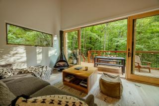 Nordic Haus - Luxury Wears Valley - Hot Tub - 5mins to GSMNPark - 9