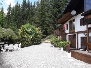 Alm`Ferienhaus Gaisegg - Klippitztorl - 1