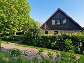Wohnung Strandflieder - Spiekeroog - 8