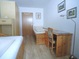 Sonnenblume -607- - Mittenwald - 5