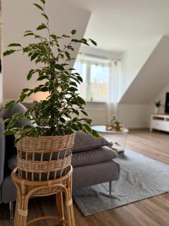 FeWo Hygge Hennstedt - Hennstedt - 9