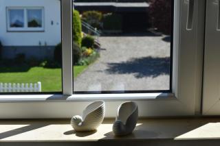 Ferienwohnung Sonnenblume - Grube - 1