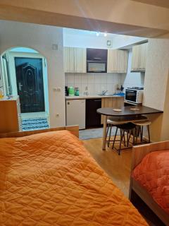 Darvik appartement - Ohrid - 5