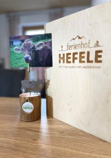 Ferienhof Hefele Ferienwohnung Breitenberg mit KönigsCard - Hopferau - 7
