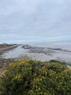 Seaside Retreat-Sleeps 8-Free Parking - 6