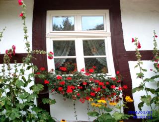 Wohnung in Ulrichshusen - - 2