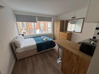 Cozy Studio at Paddington Station, Hyde Park - Londra - 4