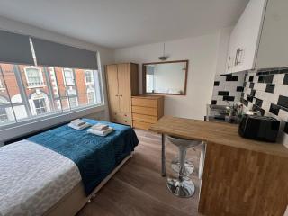Cozy Studio at Paddington Station, Hyde Park - Londra - 8