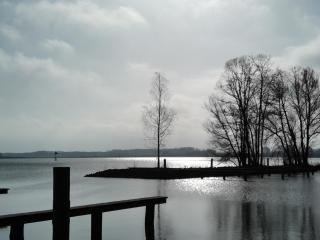 Ferienwohnung Otter im Müritz Seepark - Marienfelde - 1