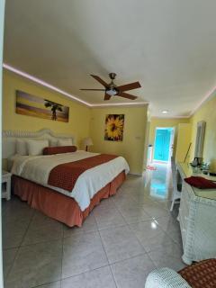 Amazon Villas- Hummingbird - Soufriere - 5