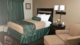 Baymont by Wyndham Hearne - Hearne - 9