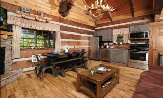 Authentic Family Paradise- Game Room-Hot Tub-BBQ - Sevierville - 1