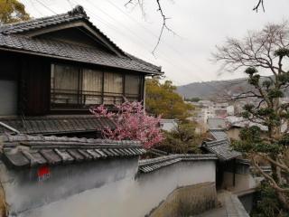 k Authentic Trad Villa experience - Onomichi - 0