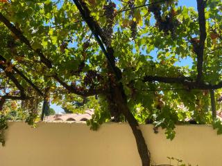 Évasion en Provence Bas de Villa avec Jardin & Vignes, Soleil & Fraîcheur - Les-Pennes-Mirabeau - 9