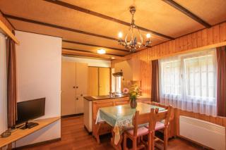 Residenz Edelweiss SAAS311 - Saas-Balen - 2