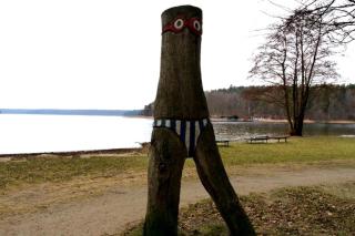 Ferienhaus beim Stechlinsee - Stechlin - 3