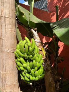 Residência Águia - Praia - 1