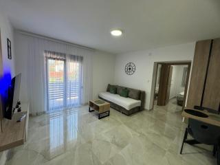 Vila Ranđelović - Soko Banja - 0