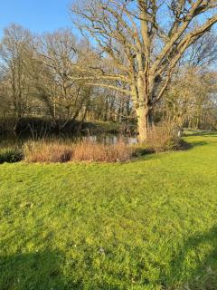 Waters edge - Rolvenden - 8