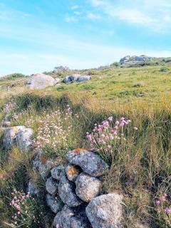 Maison avec vue mer à Saint-Pol-de-Léon - 3
