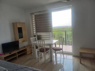 Tauzen Apartaments 24 - Katowice - 1