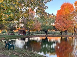 The Sansa Suite at Brants Apple Orchard - Ashtabula - 9