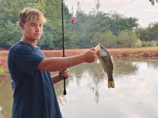 CradleLicious camp & caravan - 1