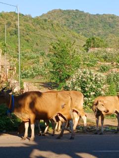 Dannyjuljol homestay - 5