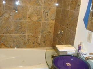 Beautiful 3BR 3BA Condo with free parking near Downtown Washington DC - 4