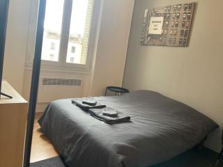 Studio Hôtel Villeurbanne Charpenne 3 - Villeurbanne - 9