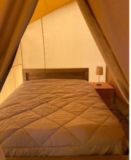 Camping le Rivage - Quettehou - 6