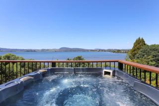 Pukeko Landing - Rotorua - 9