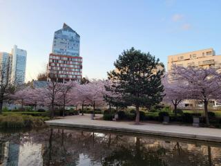 Appartement spacieux, jacuzzi, lumineux, calme, T2, 56m2 - Boulogne-Billancourt - 9