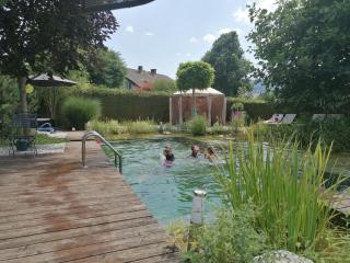 Garden Paradise Bled Apartments - garden, pond and castle view - Bled - 6