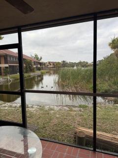 Seaside dream mins from Siesta with its number 1 beaches! - 9