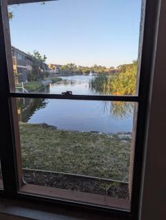 Seaside dream mins from Siesta with its number 1 beaches! - Sarasota - 7