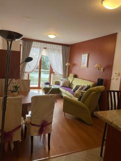 Apartman Kristof Plazza 202 Trenčianske Teplice - Trenčianske Teplice - 5