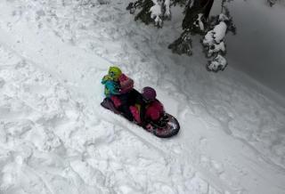Bear Haus - Sledding At Cabin - Forest Views - Foosball - 7