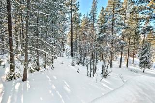 Bear Haus - Sledding At Cabin - Forest Views - Foosball - 8