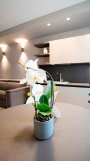 The Corner Bergamo Elegant Apartments - 6