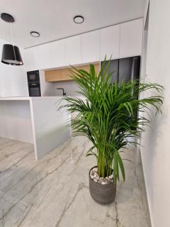 MORE - Luxury Apartment With Private Pool - Medulin - 2